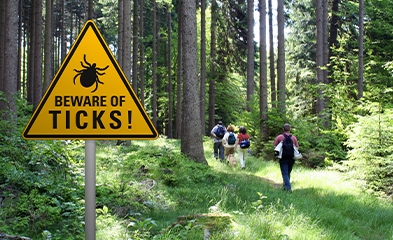 Beware of ticks sign in woods