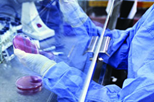 Performing research in a lab