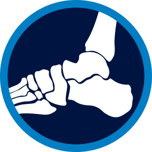 Ankle icon