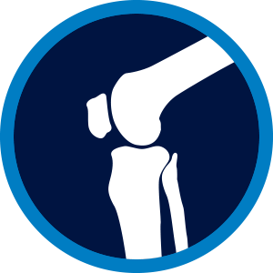 Knee icon