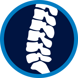 Spine icon