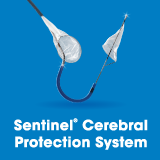 Sentinel Cerebral Protection System