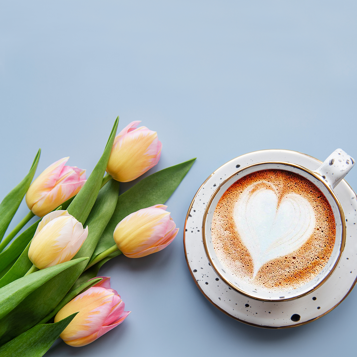 10th annual hospice fundraising breakfast