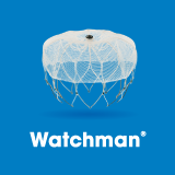 Watchman device