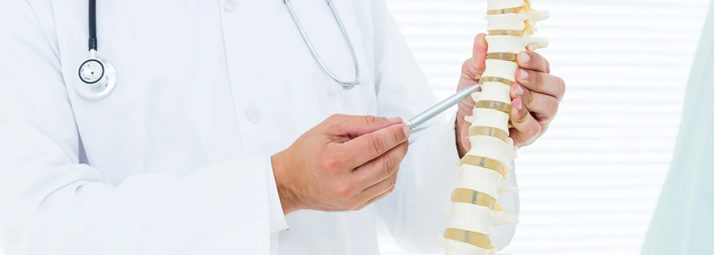Physician showing anatomical spine model to patient